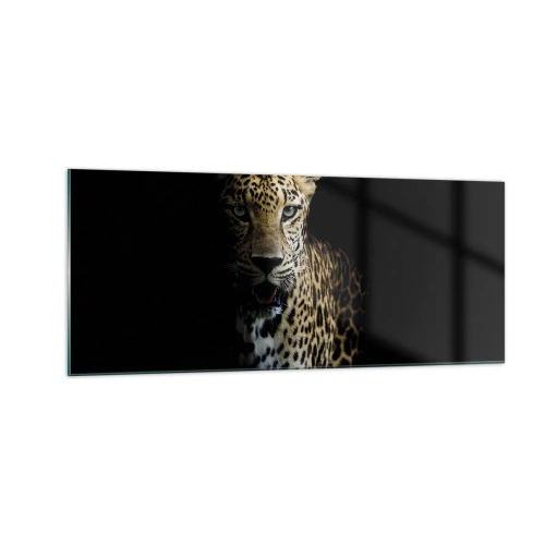 Billede på glas - Mørk skønhed - 100x40 cm