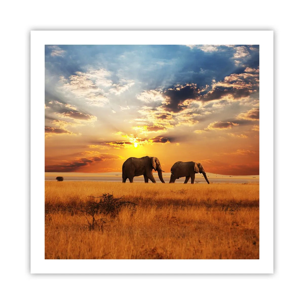 Plakat - Familievandring - 60x60 cm