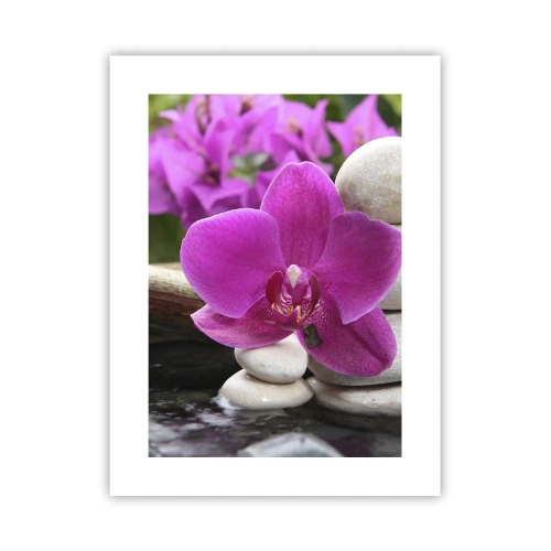 Plakat - Du hviler allerede - 30x40 cm