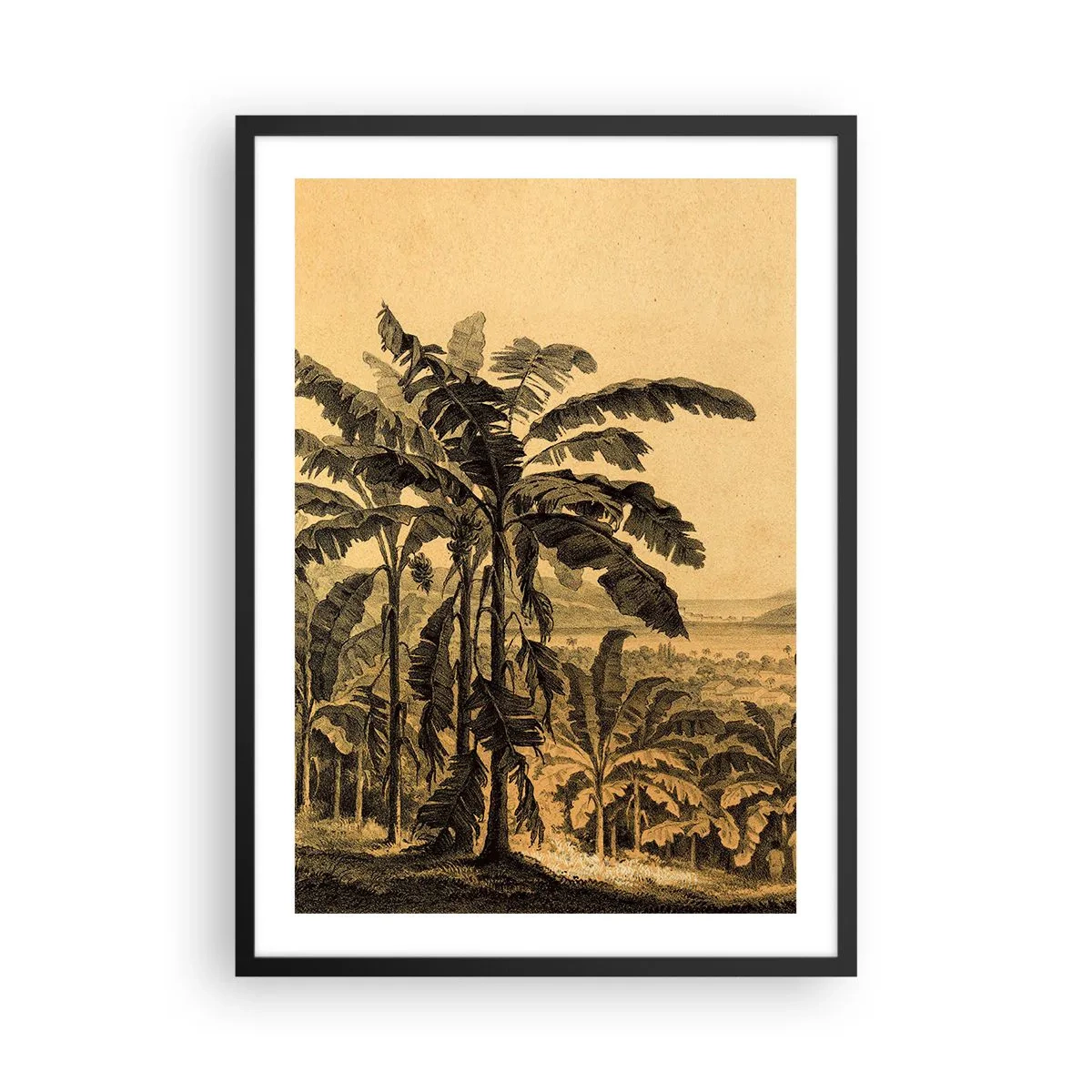 Plakat i sort ramme - Illustration af palmer mod en tropisk landskabsbaggrund - 50x70cm - I en kolonial atmosfære - Moderne vægdekoration til stue og soveværelse ARTTOR