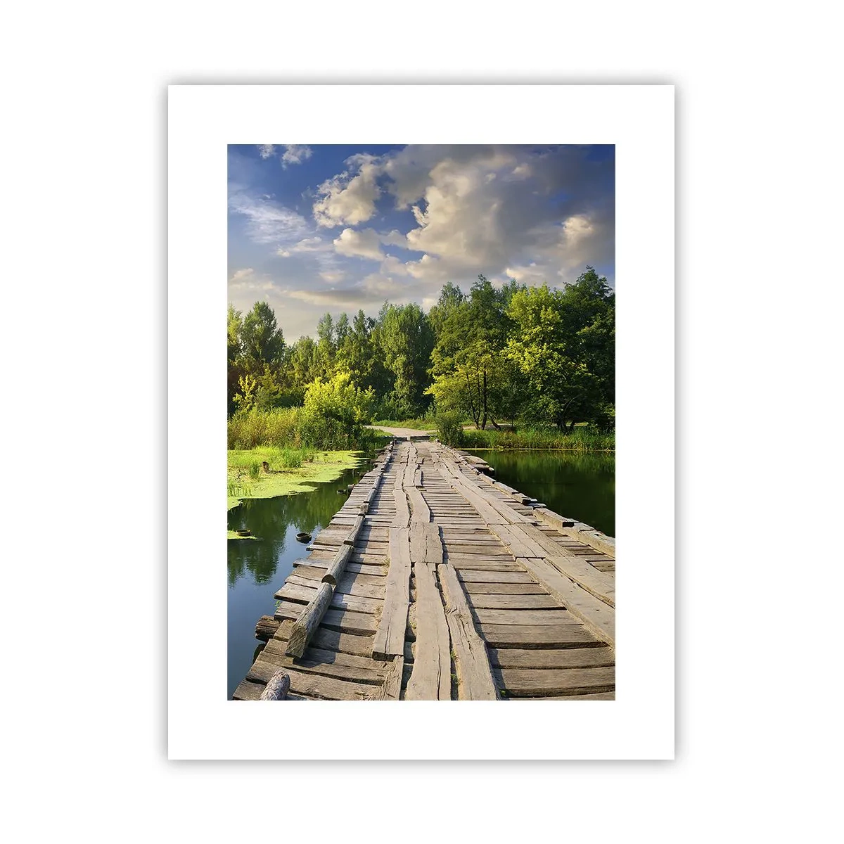 Plakat - Sommer, sommer overalt - 30x40 cm