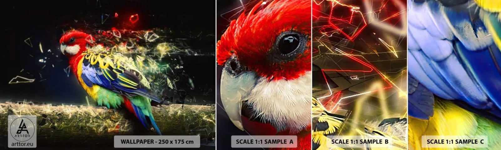 Fototapet Prøve Standard Eco - Budbringeren af udstråling - Abstraktion, Papegøje, Fugl - 100x30 cm