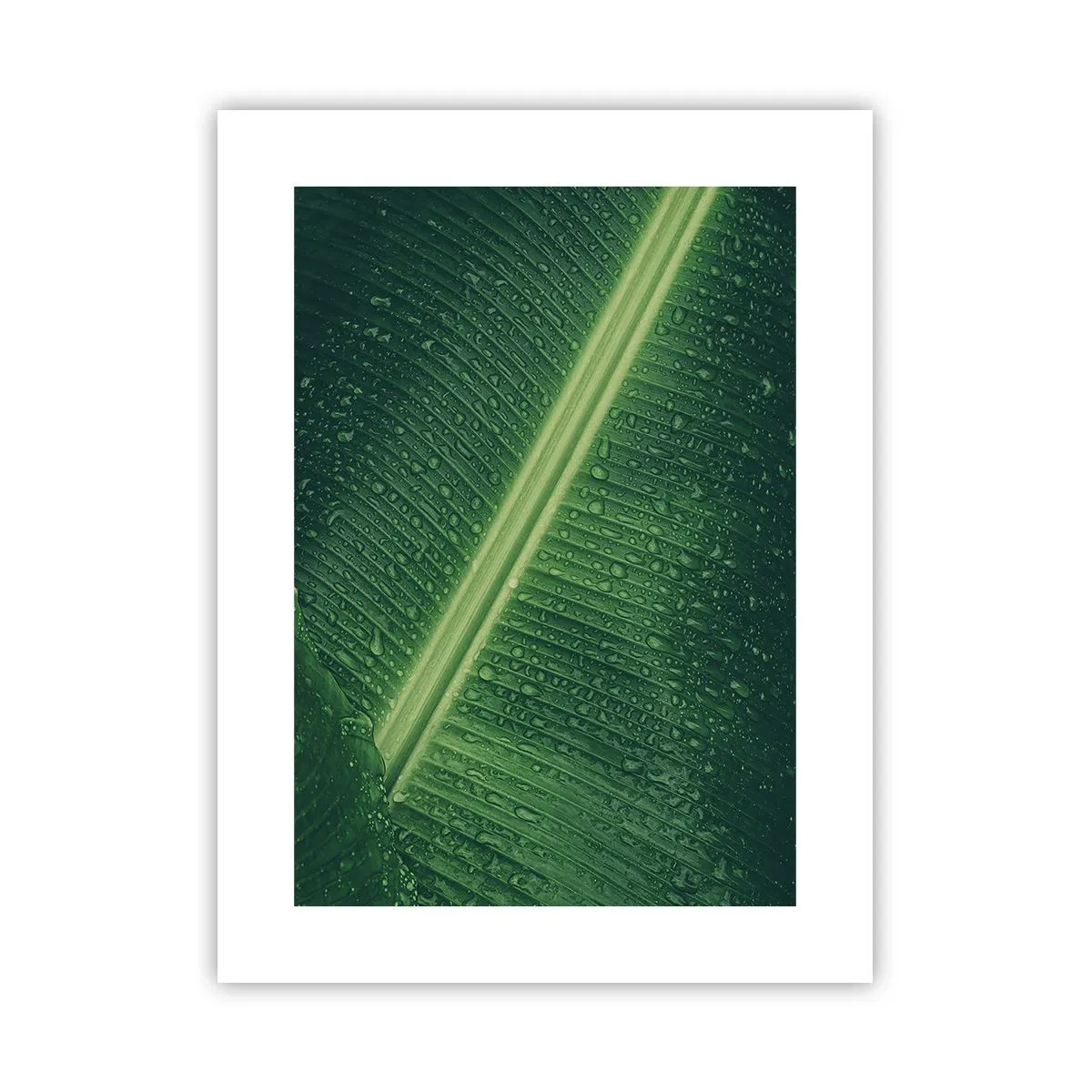 Plakat - Grøn struktur - 30x40 cm