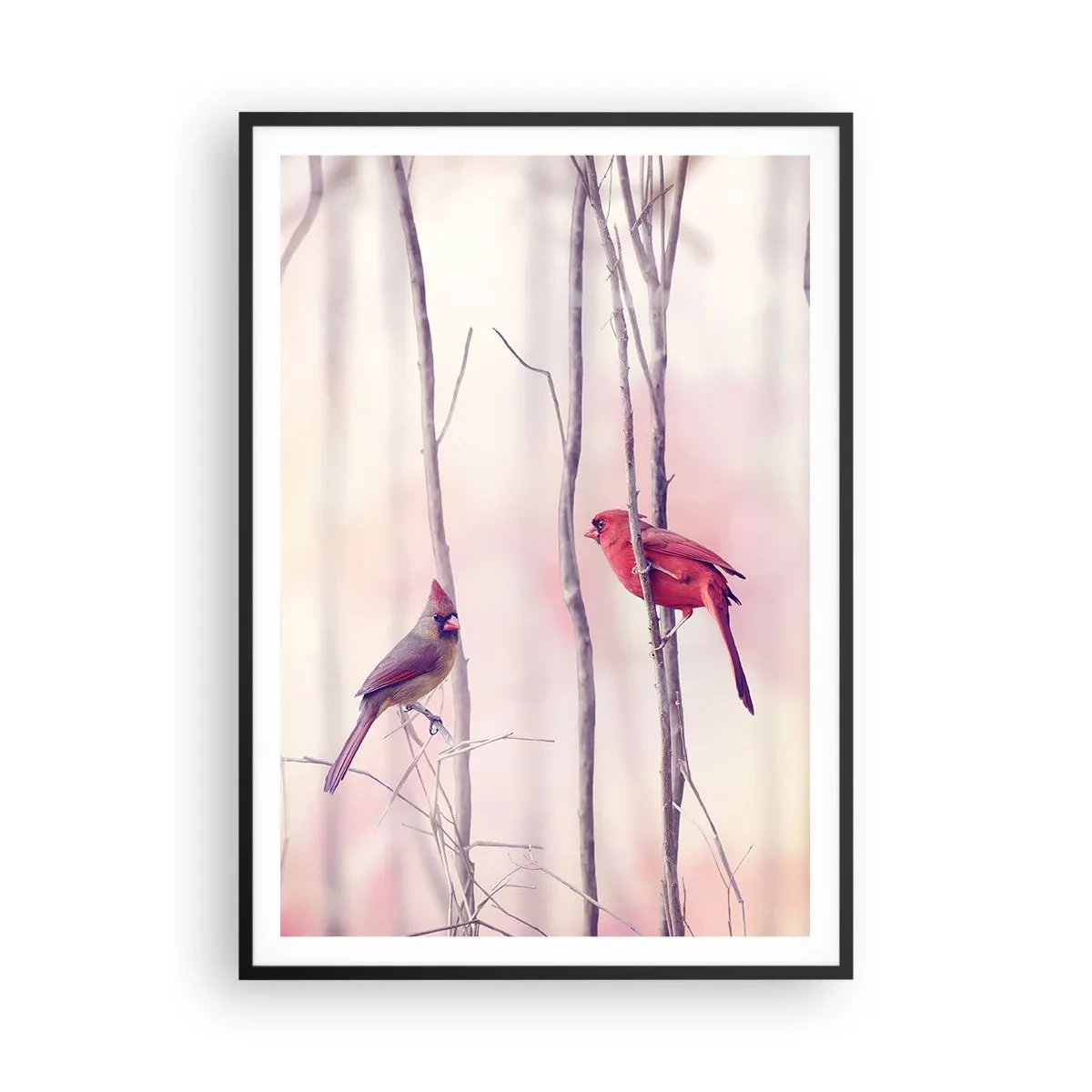 Plakat i sort ramme - Fortællingen om den lyserøde skov - 70x100 cm