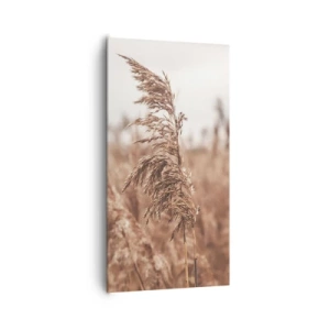 Lærredstryk - Billede på lærred - Efteråret er allerede på markerne - 65x120 cm