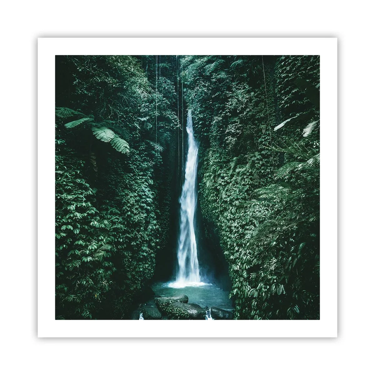 Plakat - Tropisk spa - 60x60 cm