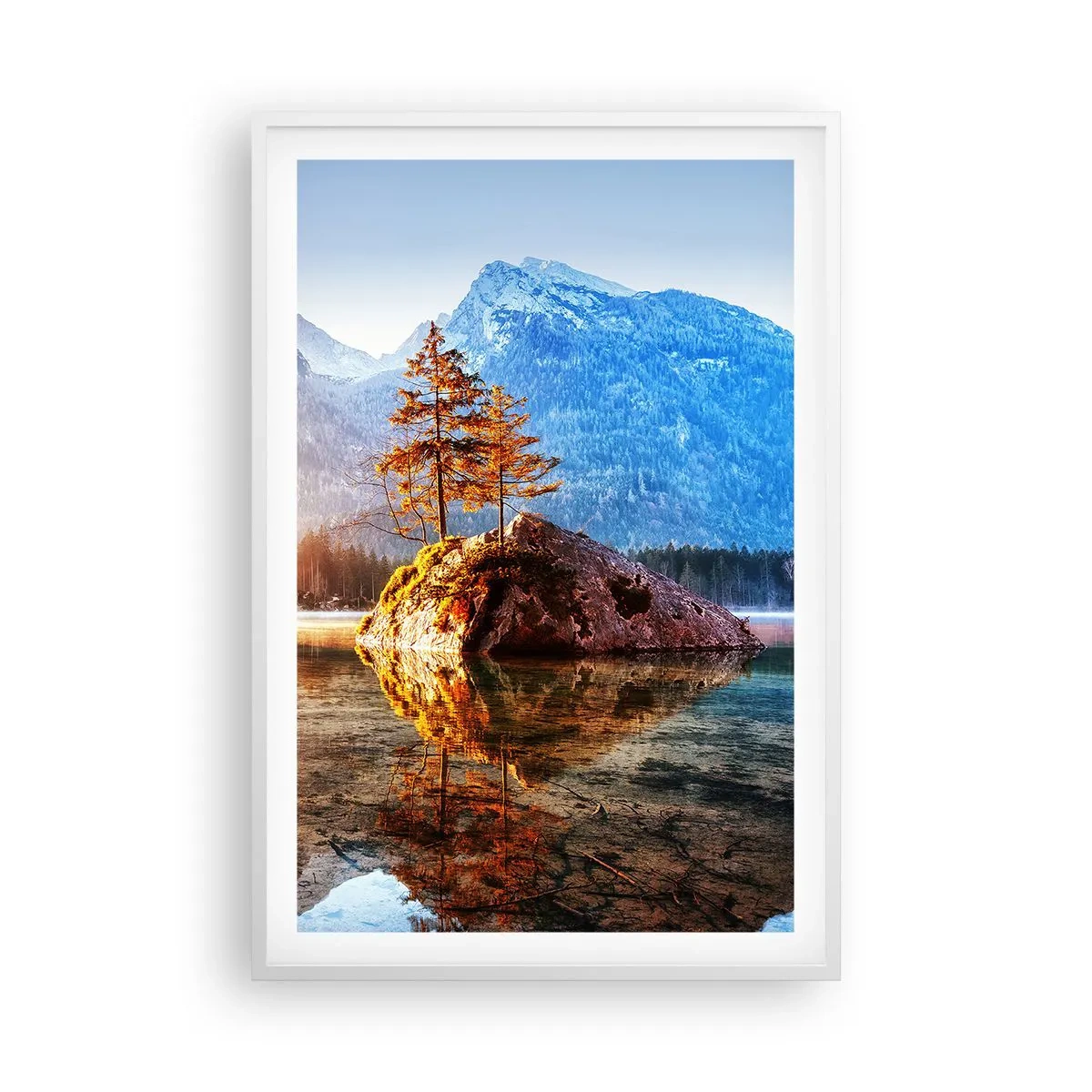 Plakat i hvid ramme - Naturen i et nyt lys - 61x91 cm