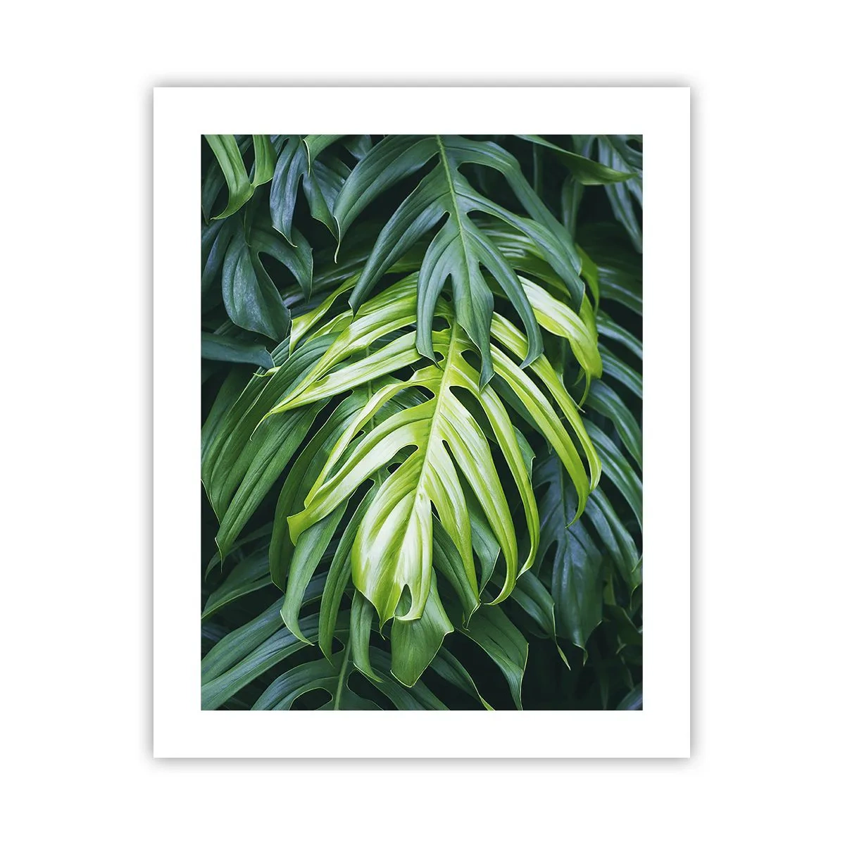 Plakat - Fordyb dig i friskhed - 40x50 cm