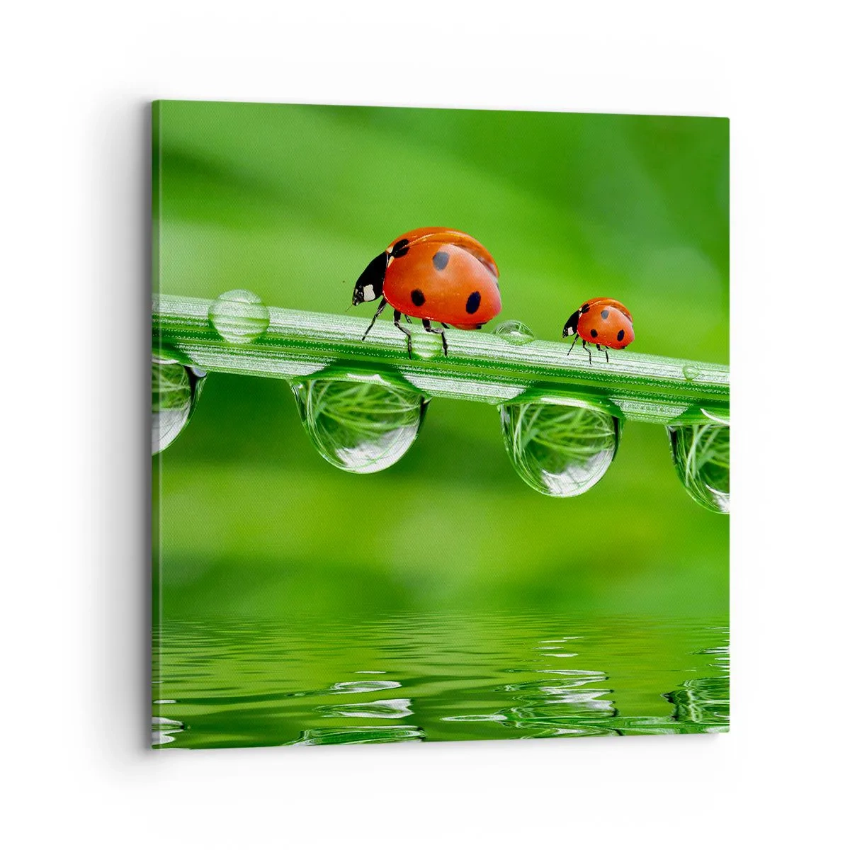 Lærredstryk - Billede på lærred - På farten hele sommeren - 70x70 cm