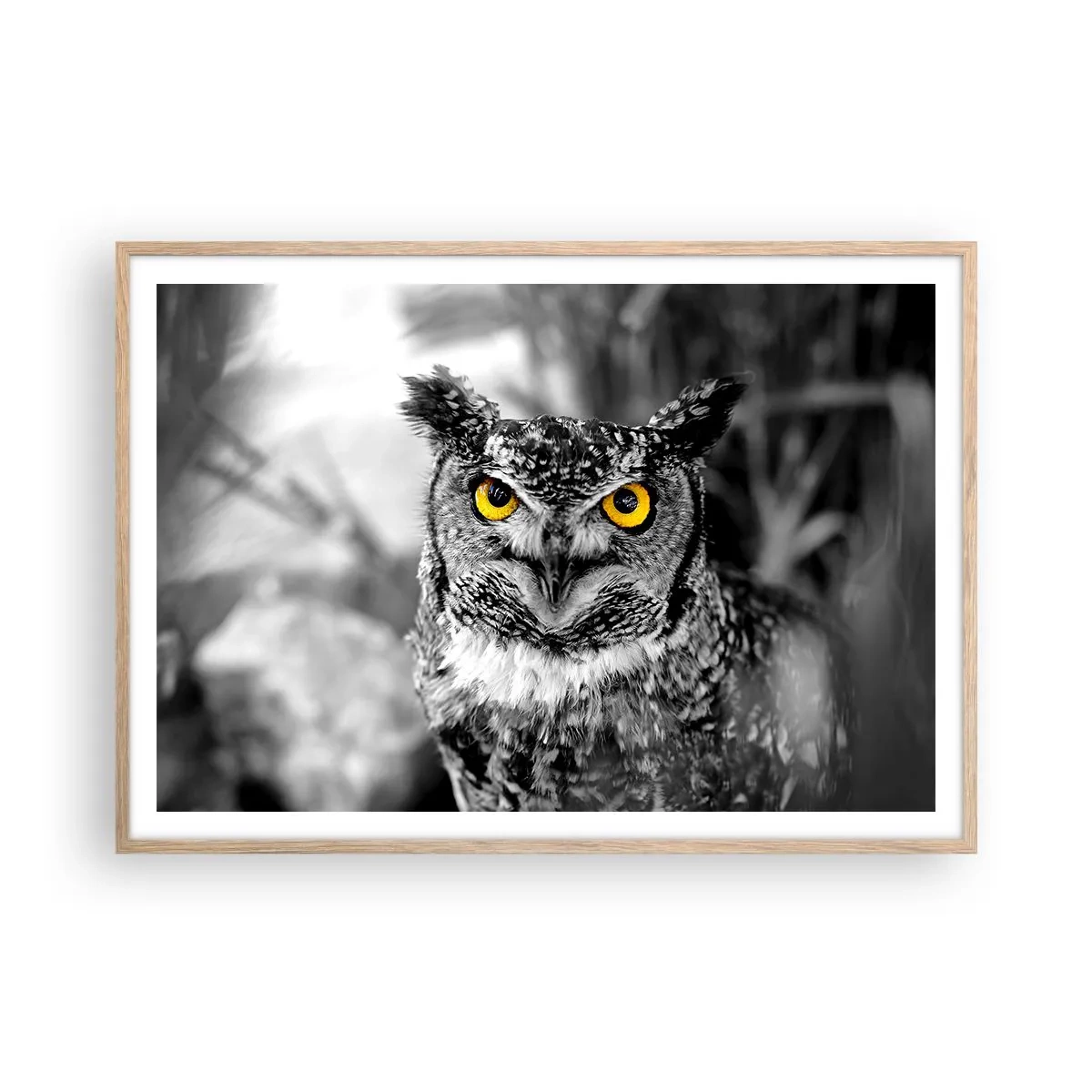 Plakat i ramme af lyst egetræ - Intet kan skjules - 100x70 cm