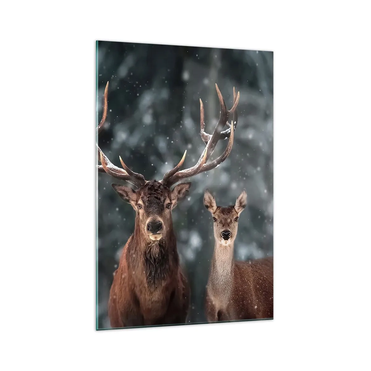 Billede på glas - Skovens herre og hans kone - 70x100 cm