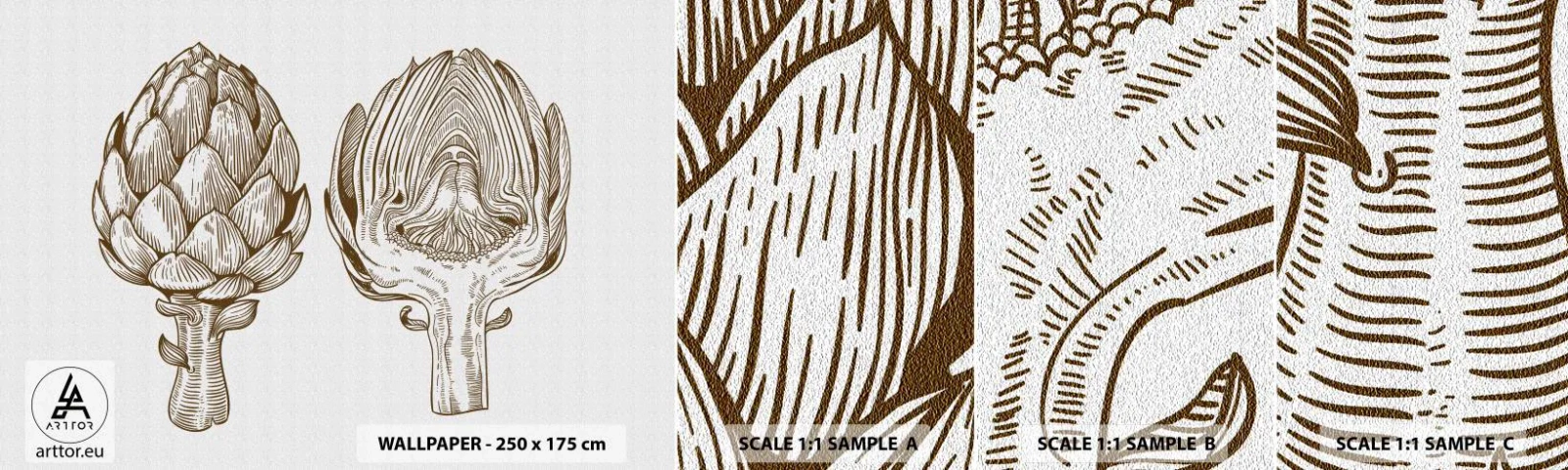 Fototapet Prøve Standard Eco - Lektion i anatomi - Artiskok, Køkken, Grøntsager - 100x30 cm