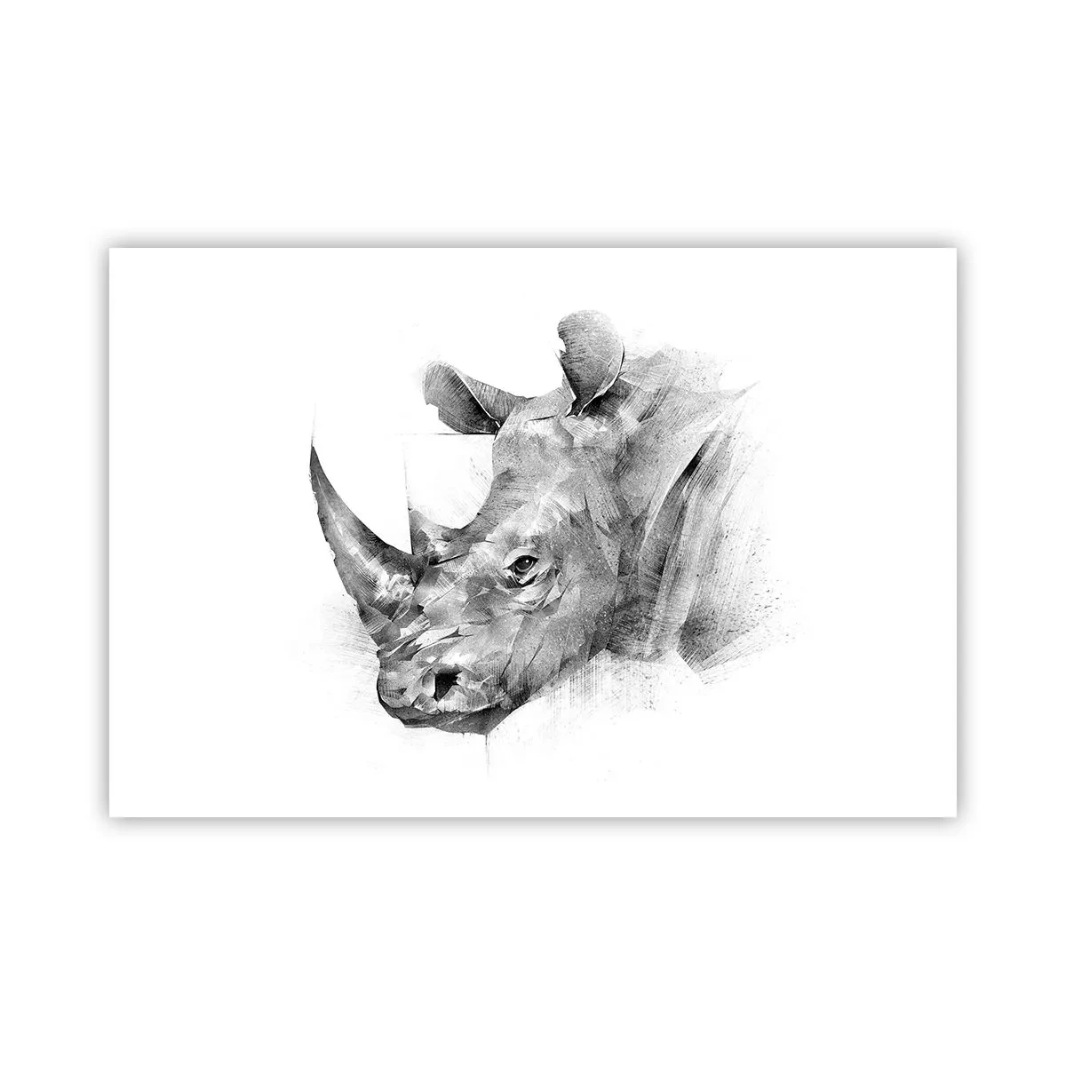 Plakat - Afrikansk portræt - 91x61 cm