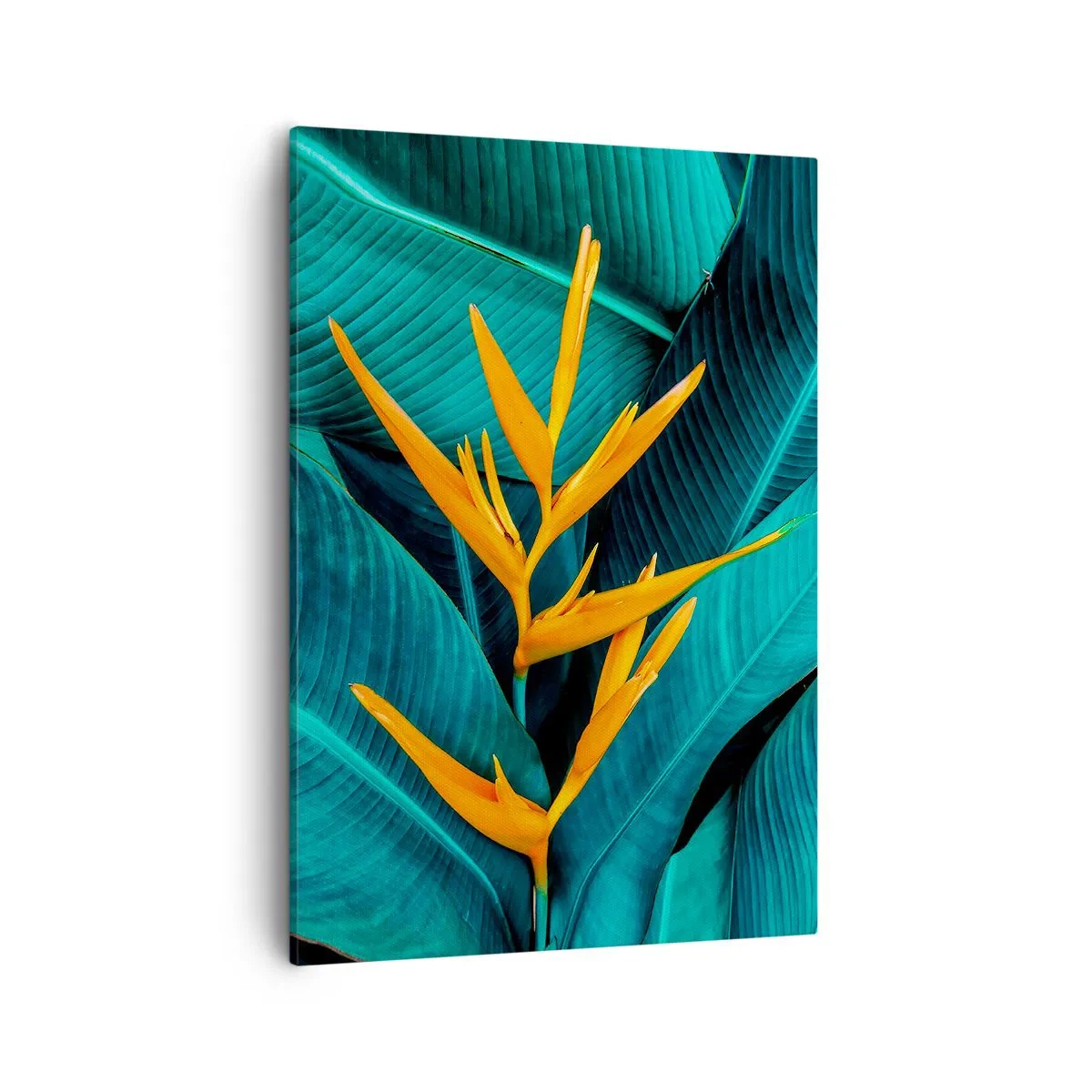 Lærredstryk - Billede på lærred - Edens blomst - 50x70 cm