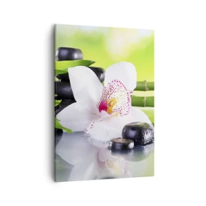 Lærredstryk - Billede på lærred - Kølig friskhed - 50x70 cm