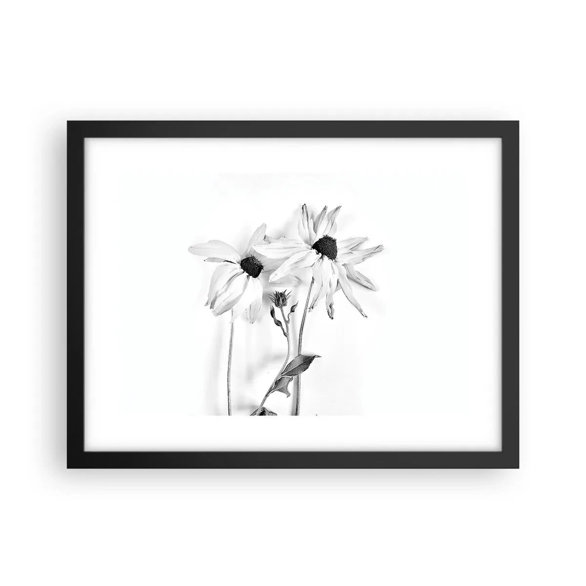 Plakat i sort ramme - Ingen ønsker at være alene - 40x30 cm