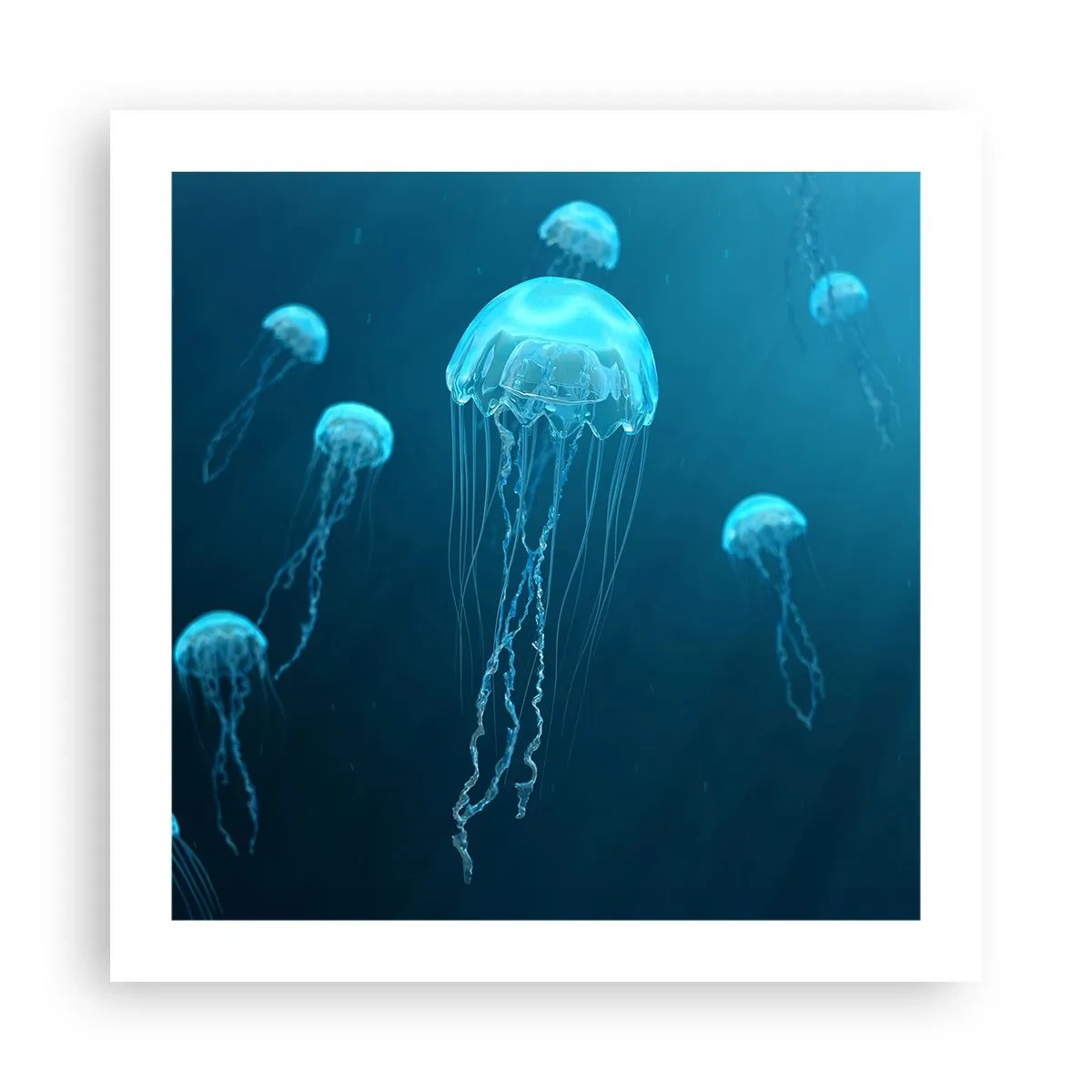 Plakat - Havets dans - 50x50 cm