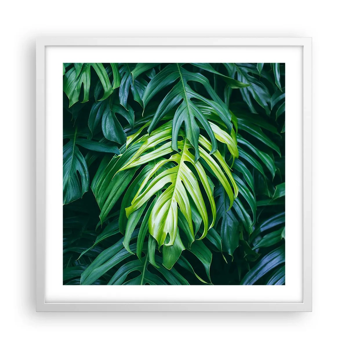 Plakat i hvid ramme - Fordyb dig i friskhed - 50x50 cm