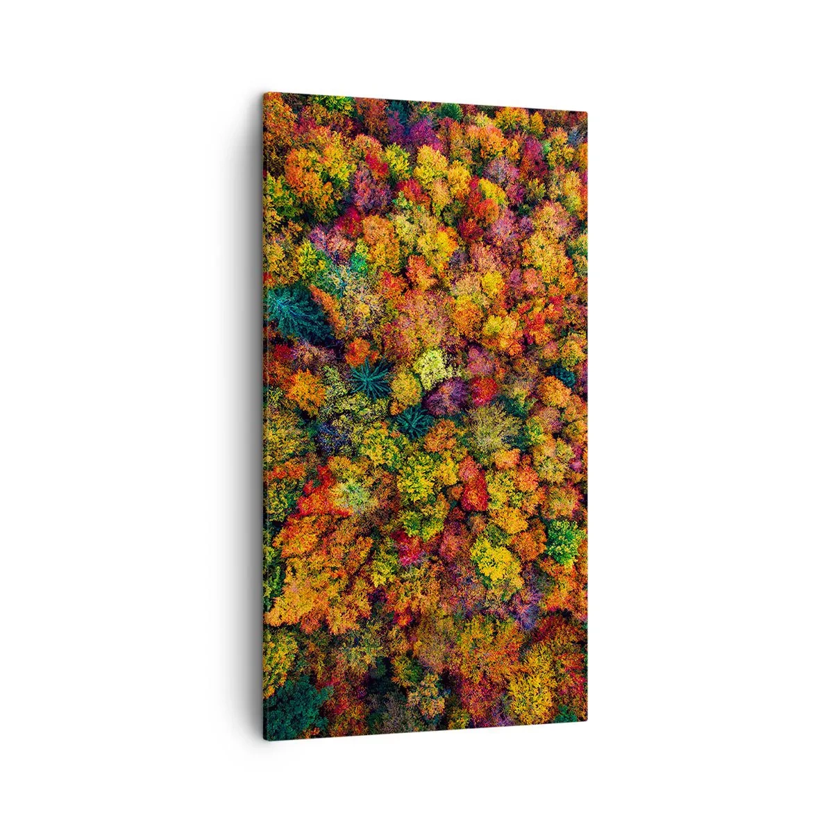 Lærredstryk - Billede på lærred - Buket af efterårstræer - 45x80 cm