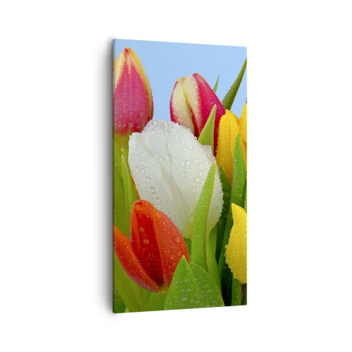 Lærredstryk - Billede på lærred - En blomstret regnbue i dugdråber - 55x100 cm