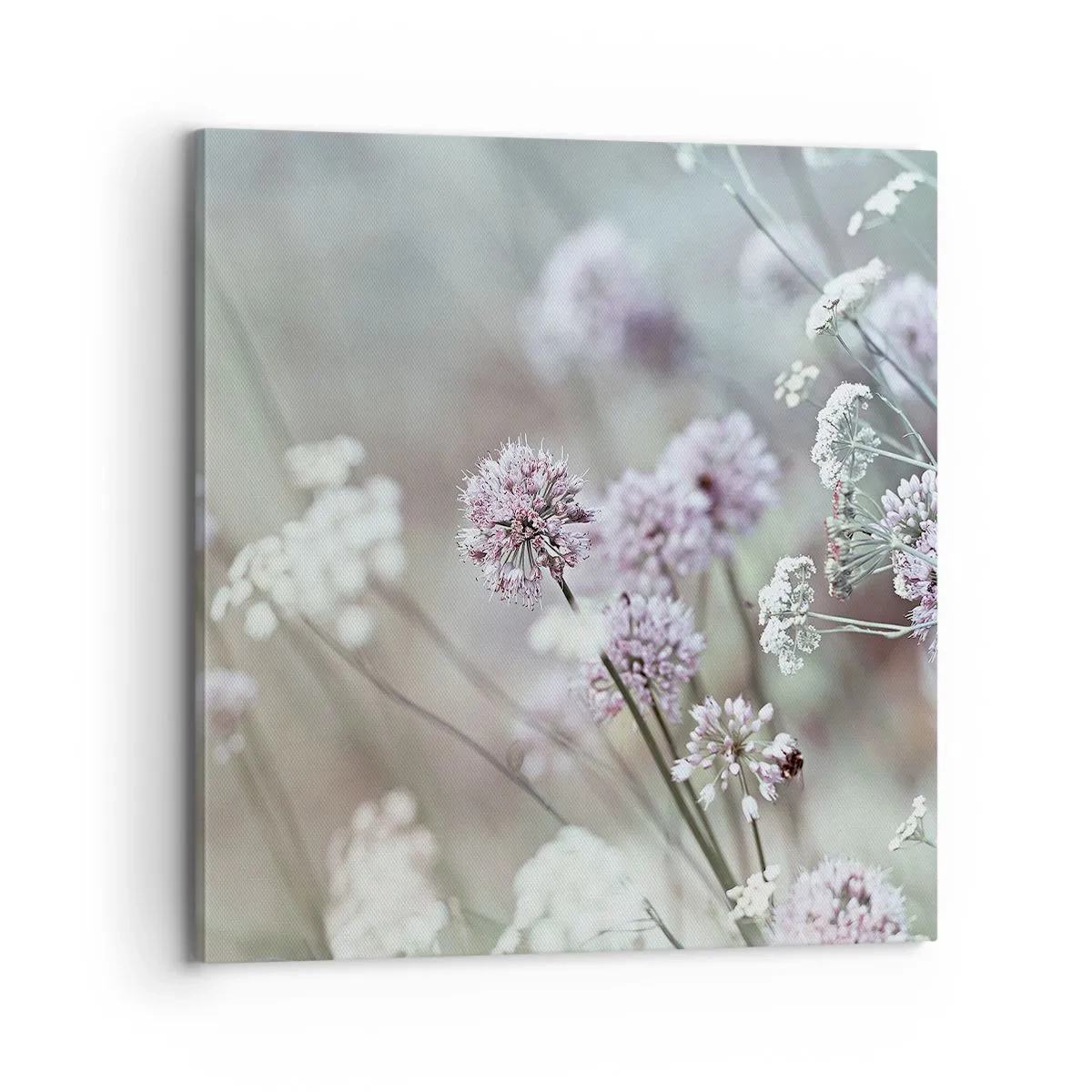 Lærredstryk - Billede på lærred - Søde filigranurter - 70x70 cm