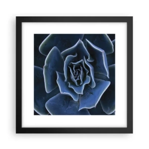 Plakat i sort ramme - Ørkenblomst - 30x30 cm