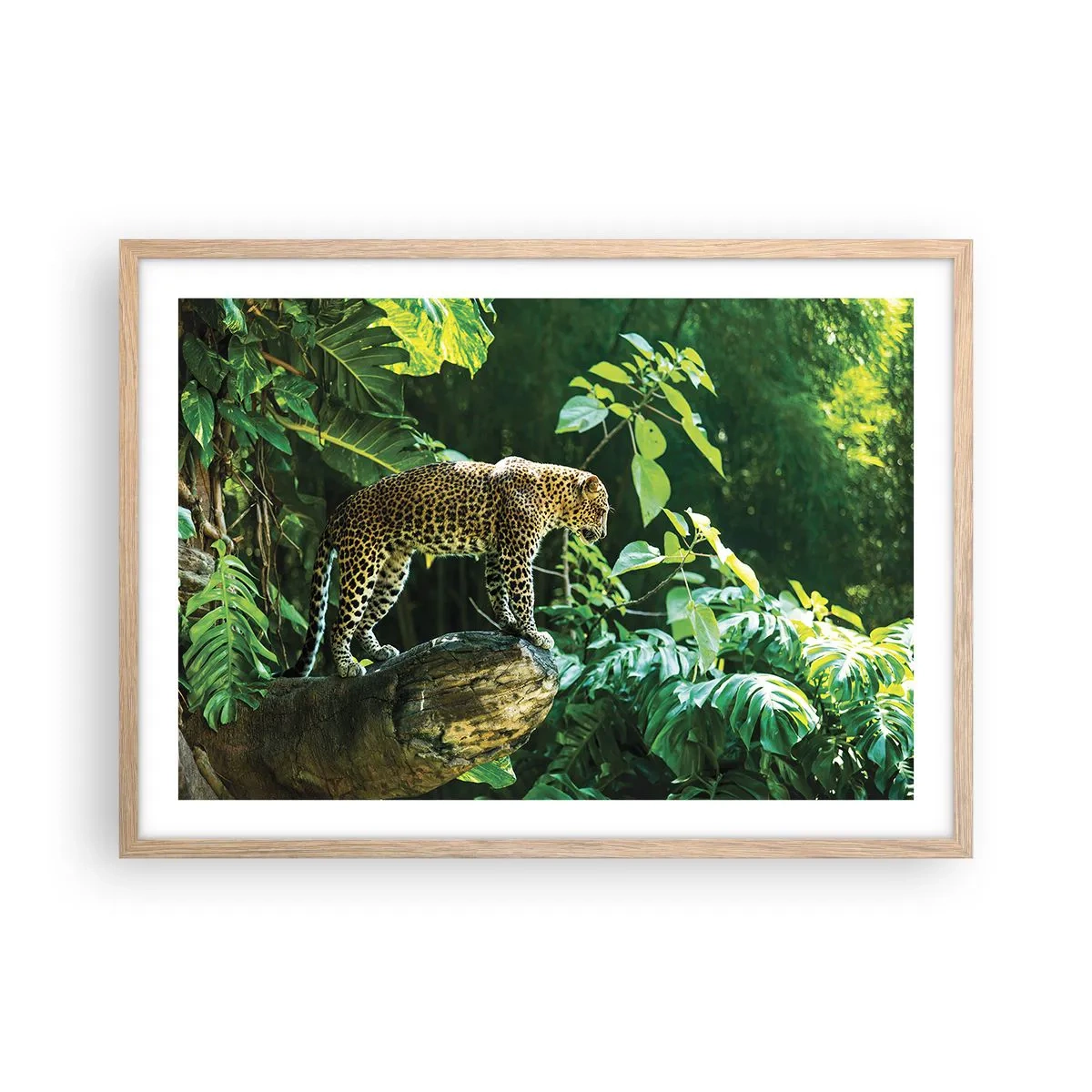 Plakat i ramme af lyst egetræ - Til jagt? - 70x50 cm