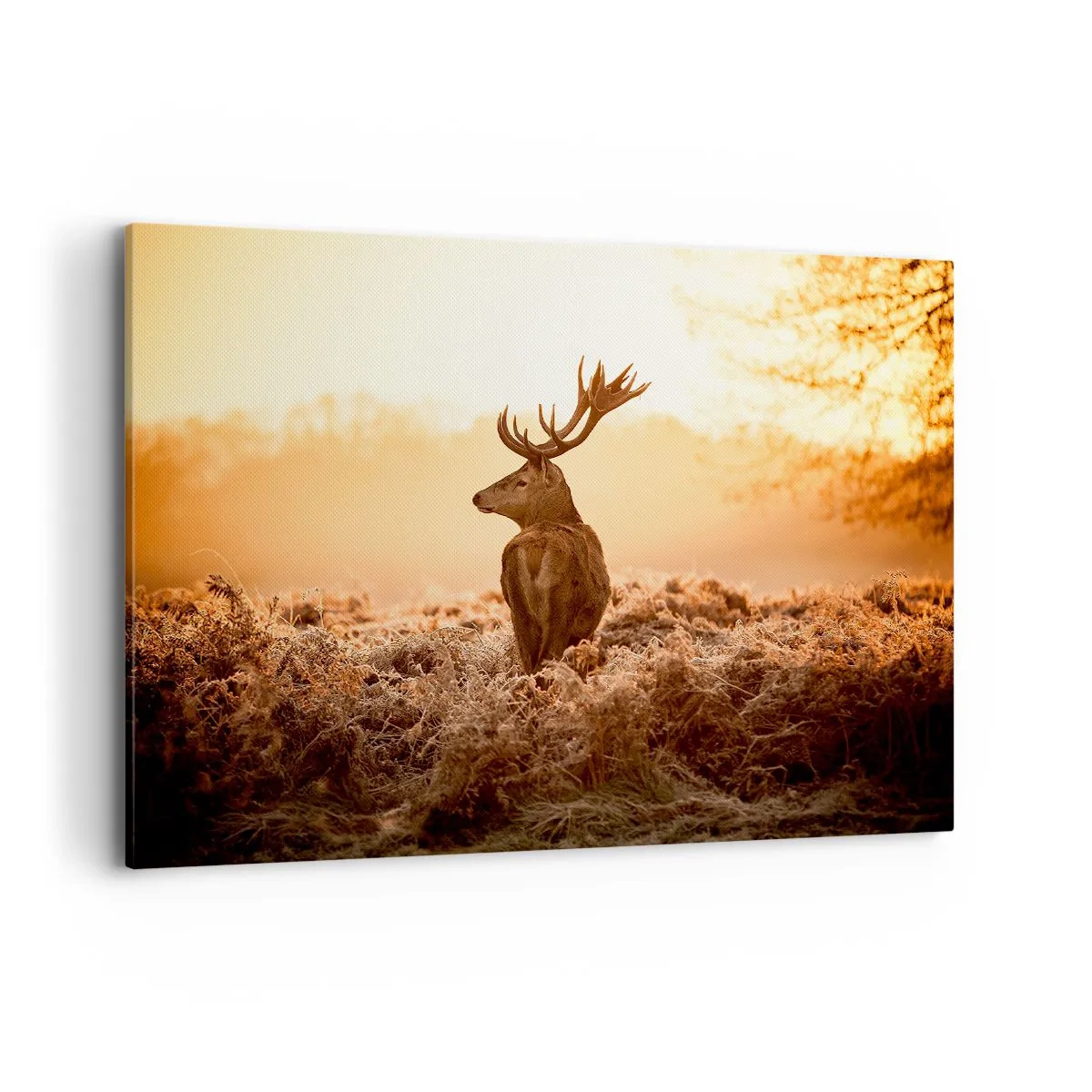 Lærredstryk - Billede på lærred - Herre på godset - 100x70 cm