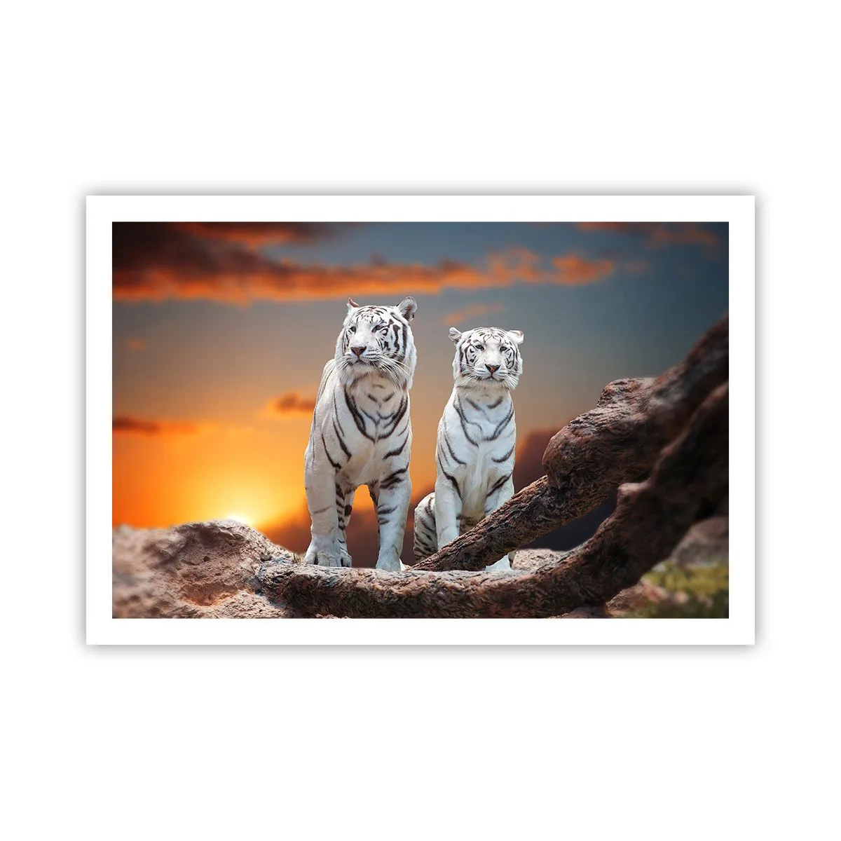 Plakat - Ligesom i Narnia - 91x61 cm