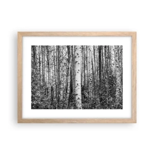 Plakat i ramme af lyst egetræ - Kolonnade af birk - 40x30 cm