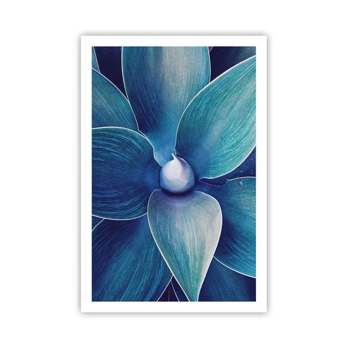 Plakat - Blå fra himlen - 61x91 cm