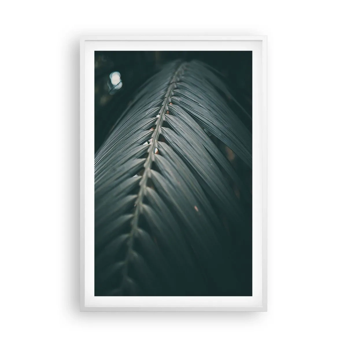 Plakat i hvid ramme - Naturens præcision - 61x91 cm