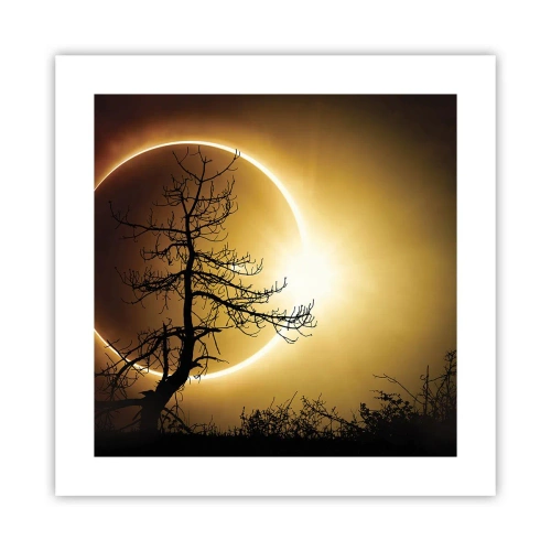 Plakat - Total formørkelse - 40x40 cm