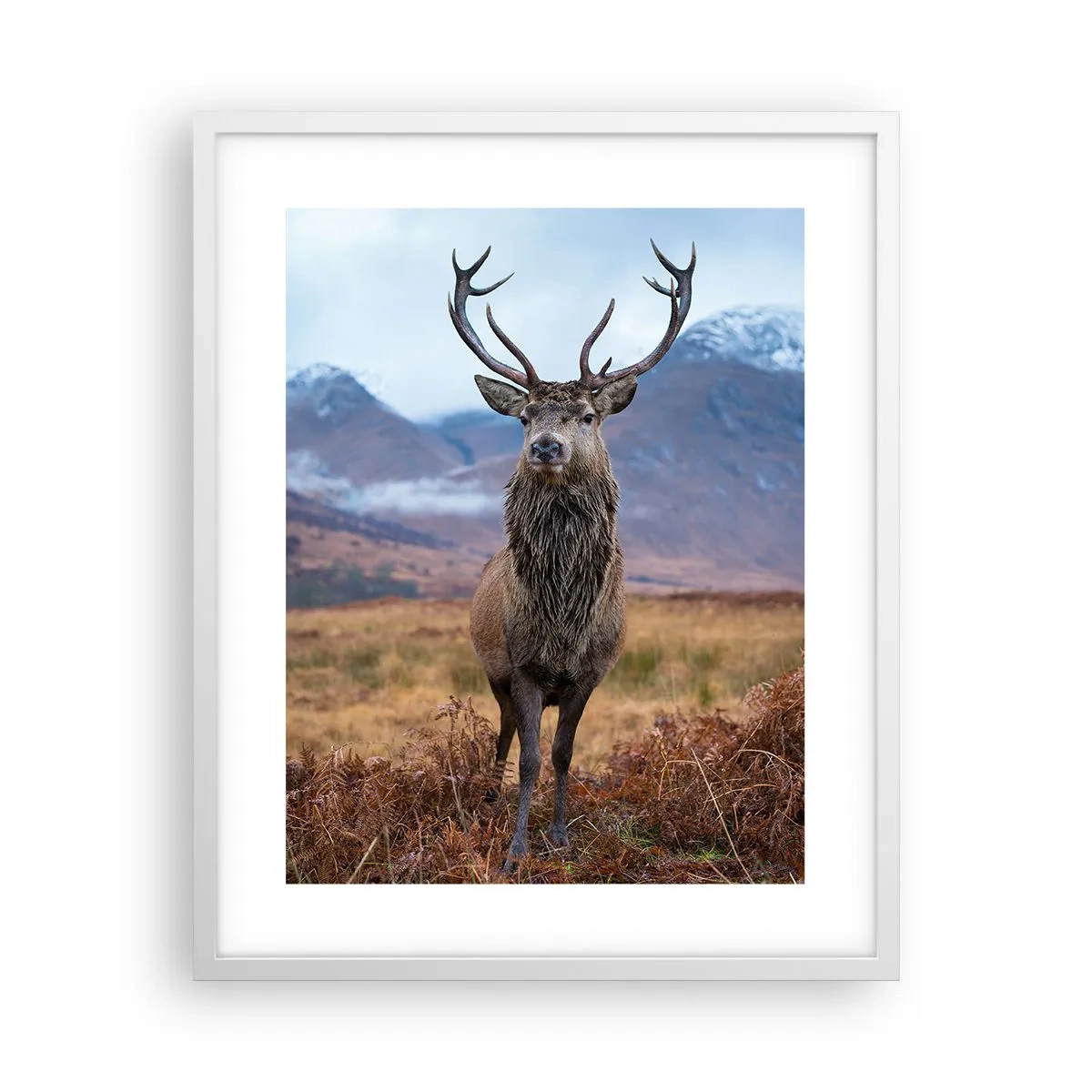 Plakat i hvid ramme - På deres egen jord - 40x50 cm