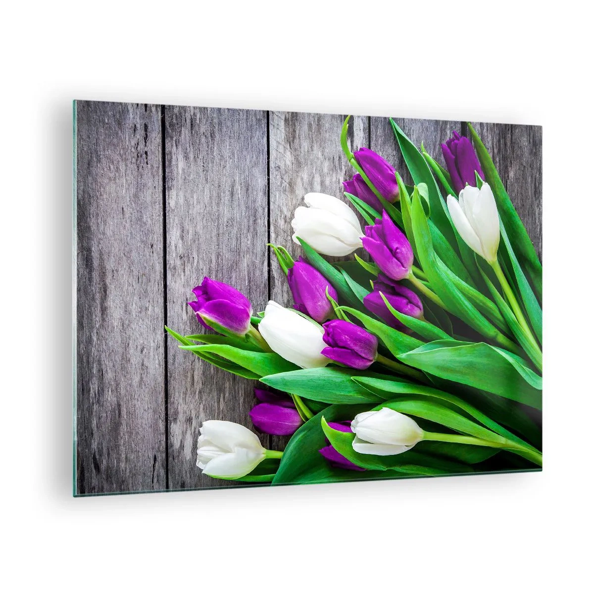 Billede på glas - En buket lilla og hvide tulipaner på en træbaggrund - 70x50cm - På dagen for forårsfesten - Moderne vægdekoration til stue og soveværelse ARTTOR