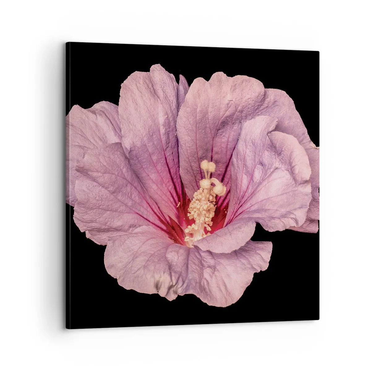 Lærredstryk - Billede på lærred - Lige i hjertet - 60x60 cm