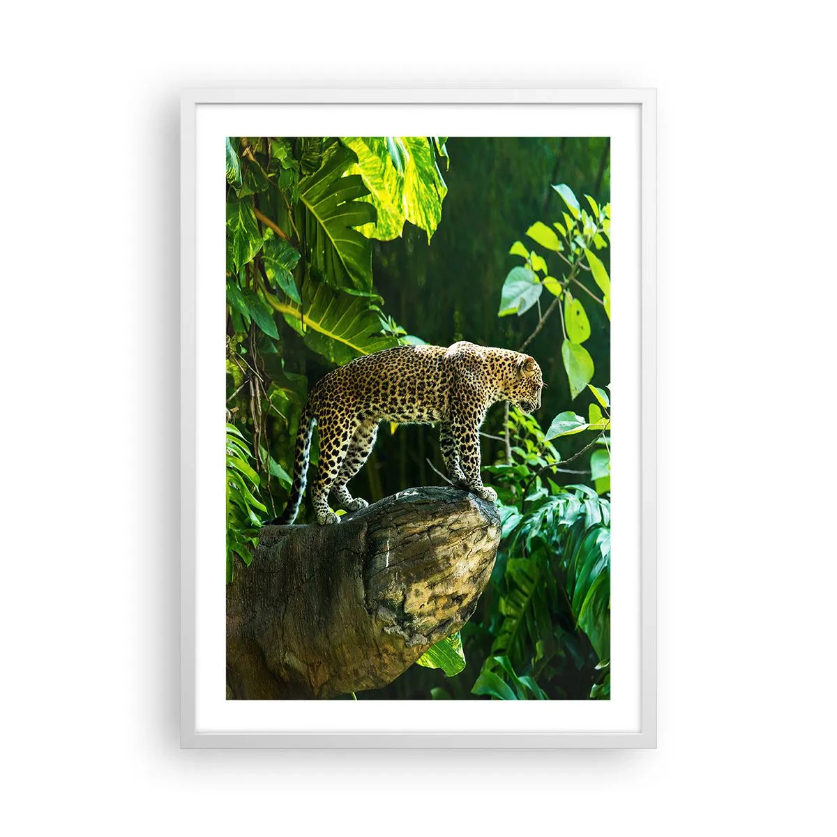 Plakat i hvid ramme - Til jagt? - 50x70 cm