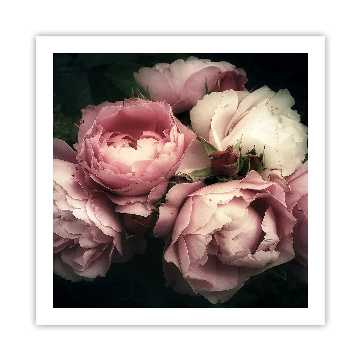 Plakat - Belle epoque charme - 60x60 cm