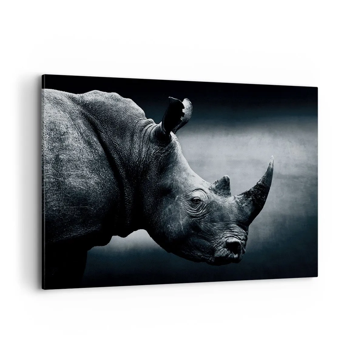 Lærredstryk - Billede på lærred - Højre profil - 120x80 cm