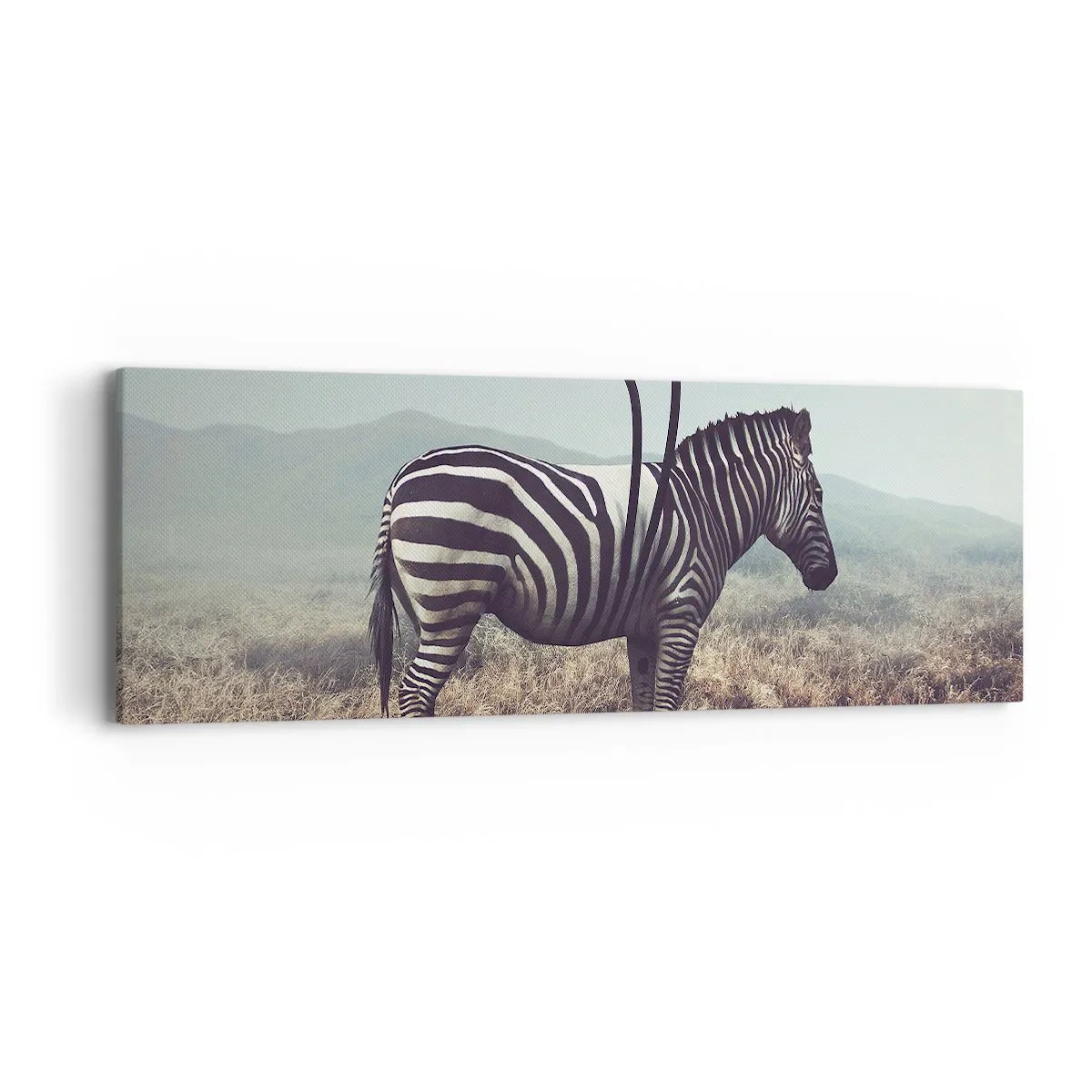 Lærredstryk - Billede på lærred - OBS! Fejl - 90x30 cm