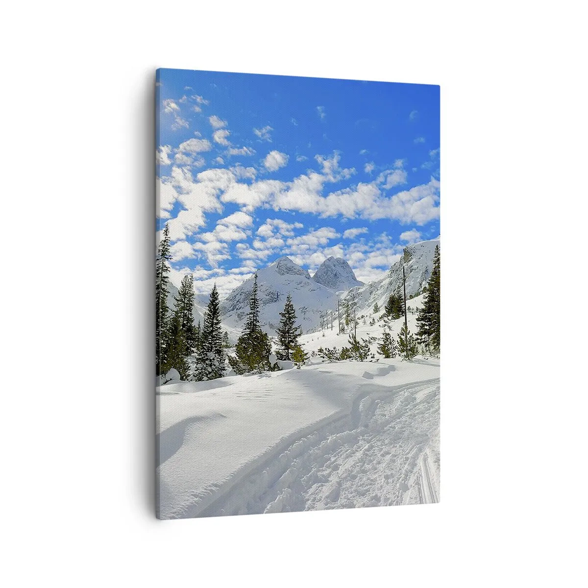 Lærredstryk - Billede på lærred - I sne og solskin - 50x70 cm