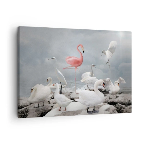 Lærredstryk - Billede på lærred - En lyserød flamingo blandt hvide svaner mod en sø som baggrund - 70x50cm - Hvor kommer jeg fra? - Moderne vægdekoration til stue og soveværelse ARTTOR