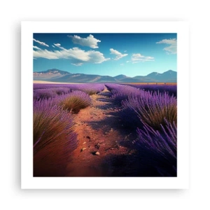 Plakat - Duftende marker - 50x50 cm