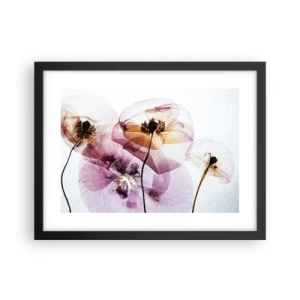 Plakat i sort ramme - Blomsterlegeme dias - 40x30 cm