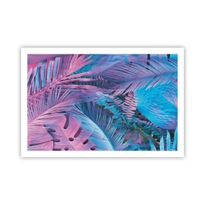 Plakat - Troperne i lyserød og blå - 91x61 cm