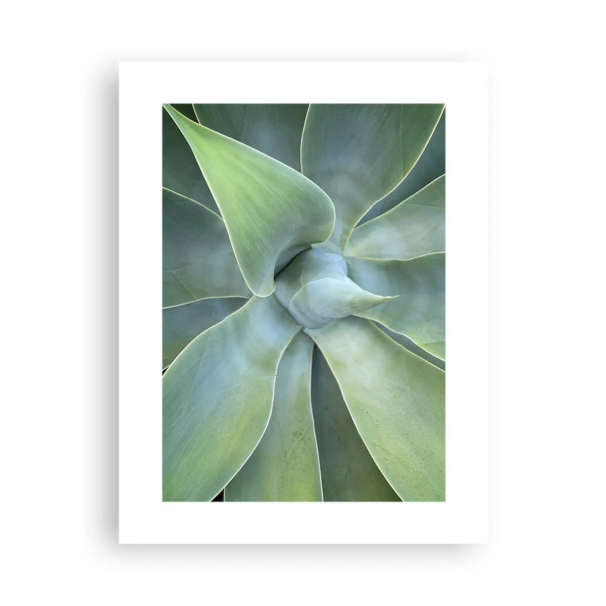 Plakat - Den grønne fødsel - 30x40 cm