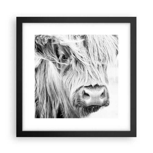 Plakat i sort ramme - Skotsk vildmark - 30x30 cm