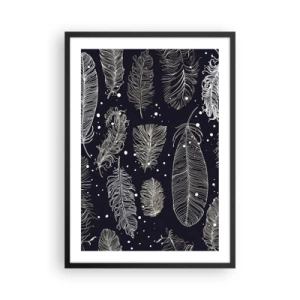 Plakat i sort ramme - Hvide fjer på en sort baggrund i et elegant arrangement - 50x70cm - Fjerede blonder - Moderne vægdekoration til stue og soveværelse ARTTOR