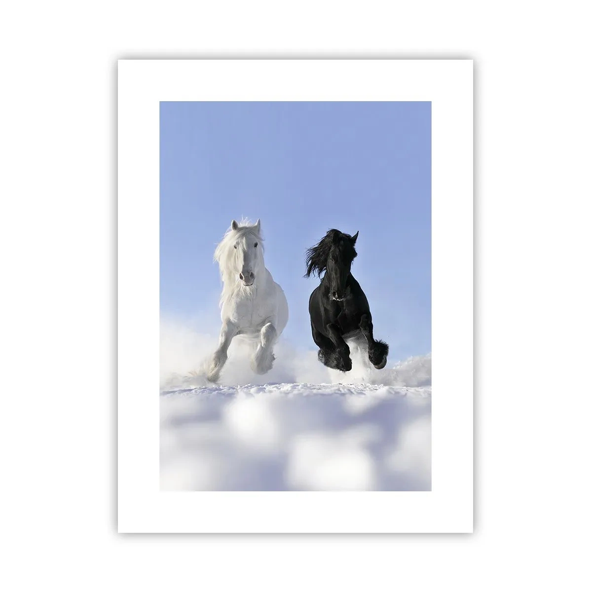 Plakat - Sort og hvid galop - 30x40 cm