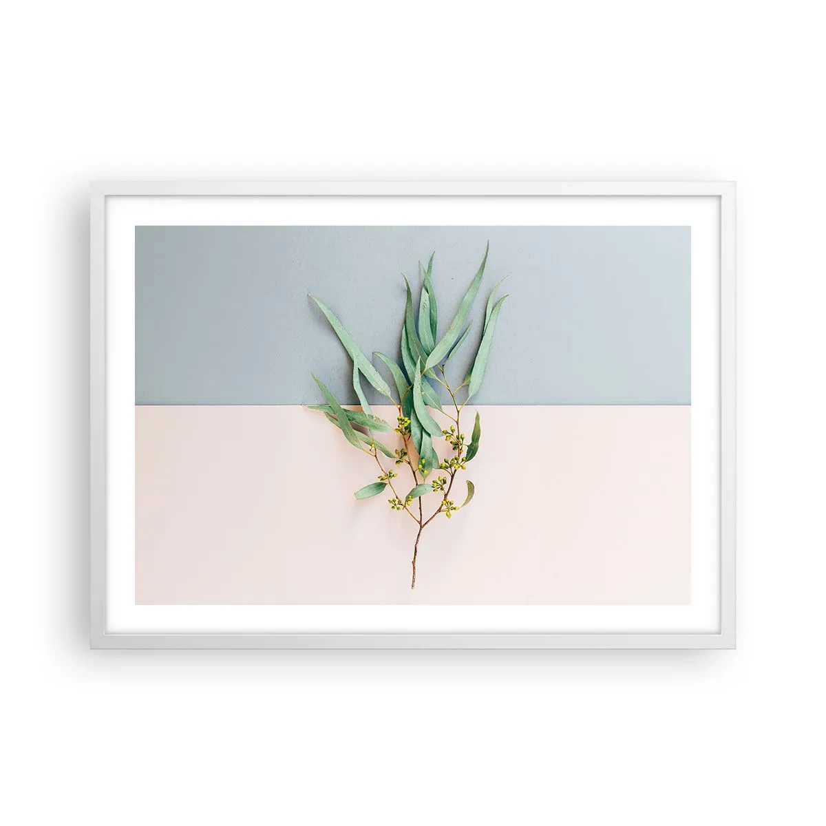 Plakat i hvid ramme - Pastelfarvernes subtilitet - 70x50 cm